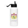 Sverige Stainless steel water bottle with a straw lid